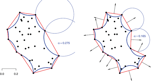 Figure 19. α-convex hulls of the same set of points corresponding to two different values of the probing radius α, the associated α-shapes, and their “outward” pointing surface normals.