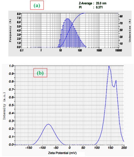 Figure 8. DLS spectrum (a) and zeta potential (b) of AgNPs.