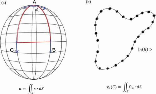 Figure 1. Illustration of the geometrical phase generated along a closed path on a surface. (a) The geometric phase of a vector moving on a sphere. Initially at the north pole, the vector is parallel-transported along the longitude AB to the equator BC, and then to the longitude CA. Even though the vector has not been rotated at any point along its route, it has been rotated at an angle α. The angle α is the integral of the Gaussian curvature К over the area enclosed by the route. (b) The adiabatic evolution of a quantum state nR along a smooth circuit in the parameter space. The quantum parallel transport of a state means that n|ddt|n=0, namely, the change of a state cannot be along its own direction. After returning to the starting point, the state is rotated and acquires the Berry phase γn(C), which is the integral of the Berry curvature Ωn over the area S.