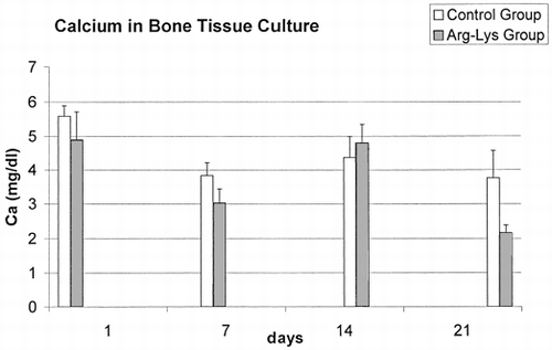 Figure 2. Calcium contents in control group and Arg-Lys group bone cultures.