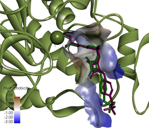 Figure 2 Superimposition of HADC2 inhibitor co-crystal conformation (green) and predicted dock conformation (purple). Zn atom showed as green sphere (PDB ID: 6G3O). Image prepared in Discovery Studio Visualizer.