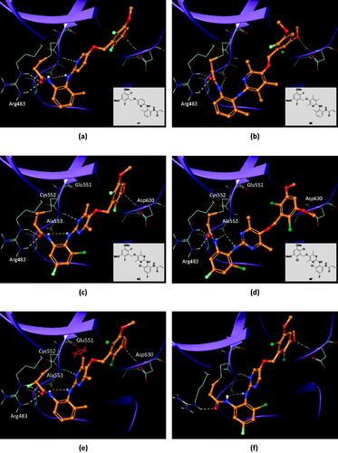 Figure 4. Effect of methyl groups and halogen substituents on binding to FGFR4. (a) Binding pose of FGFR4−41 complex (LF VSscore= −11.88). (b) Binding pose of FGFR4−6E complex (LF VSscore= −10.97). Hydrogen bonds to Ala553 are hindered by the methyl groups of the pyridine ring. (c) Binding pose of FGFR4−6O complex (LF VSscore= −12.23). (d) Binding pose of FGFR4−6P complex (LF VSscore= −10.81). Hydrogen bonds to Ala553 are lost. (e) Introduction of methyl groups into the pyrimidine ring in FGFR4 − ligand complex crystal structure (PDB 7DTZ). Methyl groups in the pyrimidine ring would bump into the Glu551 peptide bond, forcing the ring plane to twist. (f) X-ray crystal structure of FGFR4−6P-1 complex (PDB 6NVI).