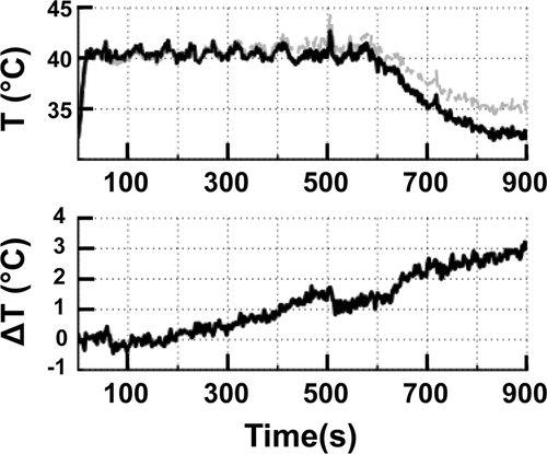Figure 4. (A) The mean temperature within an 8 mm treatment cell over a 10 min sonication + additional 5 min monitoring in vivo. Uncorrected (grey line) and corrected (black line) temperatures clearly demonstrate the effect of B0 magnetic field drift. (B) The total baseline temperature drift over 15 min from the same sonication as in A resulted in a change of 3°C.