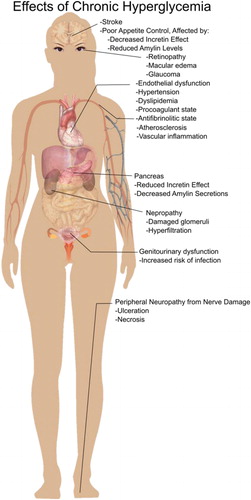 Figure 1. Effects of chronic hyperglycemia.