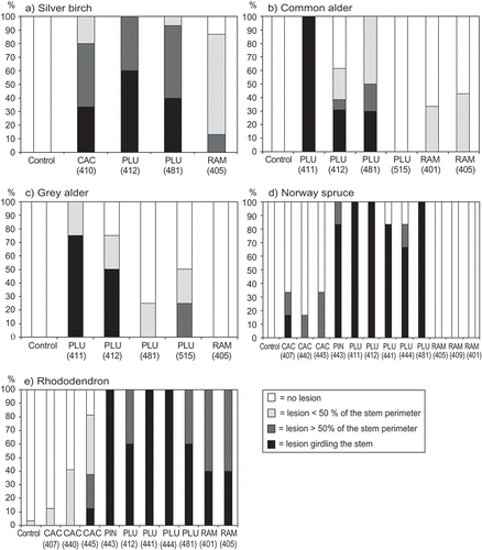 Fig. 1a–k. The percentage of seedlings in different health classes four weeks after inoculation with different isolates of Phytophthora cactorum (CAC), P. plurivora (PLU), P. ramorum (RAM) or P. pini (PIN) from rhododendron. Wound inoculated plant species were (a) silver birch, (b) common alder, (c) grey alder, (d) Norway spruce, (e) rhododendron, (f) sheepberry, (g) wayfaring tree, (h) blueberry, (i) bog bilberry, (j) lowbush blueberry and (k) strawberry. Controls were inoculated with pure ME agar plug.