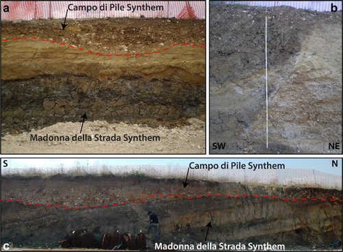 Figure 4. Characteristics of the MDS at Campo di Pile. (a) dark grey massive organic clays and sandy bedform of MDS unconformably covered by the Campo di Pile Synthem; (b): NNW–SSE trending normal fault, that juxtaposed gravels (footwall, right) and clayey silts (hangingwall, left) of MDS; (c) stratigraphic section showing the tilting of MDS towards the southern margin of the basin and the unconformity with the fluvial deposits of the Campo di Pile Synthem (CPF).
