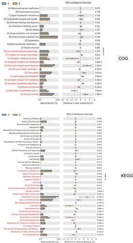 Figure 6 Function category difference graph. The left side of the figure shows the abundance ratio of different functional genes in the two groups of samples, the middle side shows the difference ratio of functional genes in the 95% confidence interval, and the right side shows the P value. Functional genes with P < 0.05 were marked in red, indicating significant differences. Only the 25 functional genes with the lowest P values are listed in the figure.