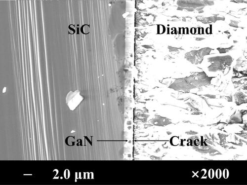 Figure 5. Cross-sectional SEM images of 40 μm diamond deposited on GaN epi-layer at 550 °C with 20 nm Si transition layer.