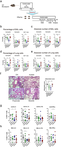 Figure 1. Propionate intake attenuates the eosinophilic airway inflammation and Th2 cytokine production in a murine HDM-induced asthma model. (a) Schematic depiction of the experimental protocol. Details are described in the methods section. (b-e) the percentage (b, d) and absolute number (c, e) of inflammatory cells in the bronchoalveolar lavage (b, c) and lung (d, e) were evaluated 72 h after the last HDM challenge. Data are mean ± SD. *p < 0.05 and **p < 0.01 by one-way ANOVA and Tukey’s test. (f) Representative photomicrographs of lung sections with hematoxylin and eosin staining and histological inflammatory scores. Bars = 50 µm. Data are mean ± SD. *, *p < 0.05 and **p < 0.01 by one-way ANOVA and Tukey’s test. (g, h) the percentage of IL-5-, IL-13, IL-17A, or IFN-γ-producing CD4+ cells in the mediastinal lymph node (mLN) (g) and bronchoalveolar lavage (BAL) (h) by flow cytometry intracellular staining analysis. Data are mean ± SD. *p < 0.05 by one-way ANOVA and Tukey’s test.