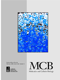 Cover image for Molecular and Cellular Biology, Volume 28, Issue 3, 2008