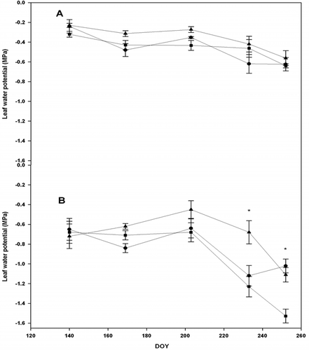 Figure 2. Seasonal pattern of mid-day leaf water potential of grapevine cultivars: Concord (square), Pinot noir (triangle), and Traminette (circle) in 2005 (A) and in 2006 (B) growing seasons. Bars not visible indicate standard error smaller than symbol. Asterisks denote significant difference among cultivars at p < 0.05. DOY: Day of the year.