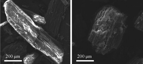 Figure 8. SEM images before (left) and after (right) adsorption of CV onto PS particle using 200x magnification.