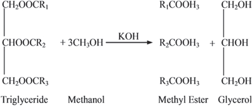 Figure 1. The transesterification of vegetable oil or fat with methanol alcohol.