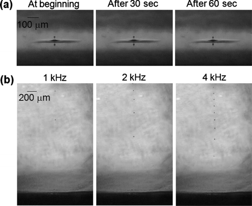 FIG. 9 Droplet ejections by the acoustic ejector working at the 7th harmonic. (a) Optical photographs of stable and continuous ejections. (b) Optical photographs of droplet ejections at high ejection rates.