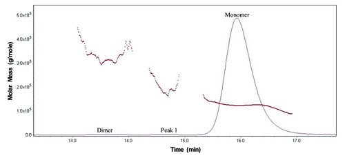 Figure 2. Overlaid SEC UV trace (____) with MALS calculated molar mass (…….) of MAb-A reference material.