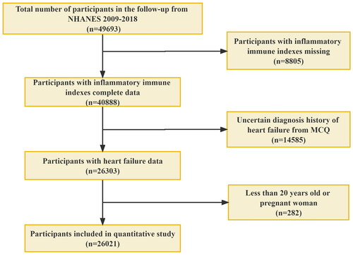 Figure 1. Flowchart of participant selection. NHANES, National Health and Nutrition Examination Survey; MCQ, the questionnaire of Medical Conditions.