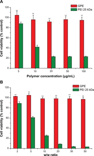 Figure 6 Cytotoxicity of the polymers at various concentrations (A) and cytotoxicity of the polymer/plasmid DNA complexes at various w/w ratios (B) in BRL-3A cell lines.