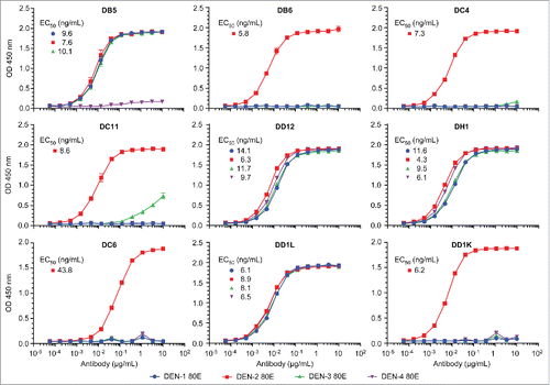 Figure 5. Recombinant human mAb binding curves to 4 dengue 80E envelope proteins Dengue 80E specific binding for each of the 4 dengue types were measure by ELISA assays. EC50 values (ng/mL) are indicated for each antibody which shows significant binding.