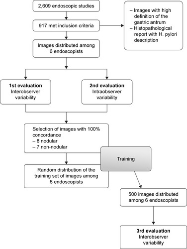 Figure 1 Flowchart of evaluations.