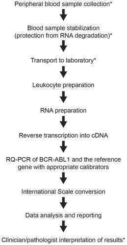 Figure 1. Key steps in the BCR-ABL1 RQ-PCR assay.[Citation44] cDNA, complementary DNA; RQ-PCR, real-time quantitative polymerase chain reaction. *Steps taking place outside the laboratory.