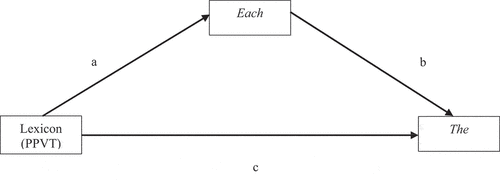 Figure 7. Mediation analysis of interpretations of each in collective contexts between the lexicon and implicature interpretations of the in distributive contexts.