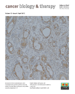 Cover image for Cancer Biology & Therapy, Volume 13, Issue 6, 2012