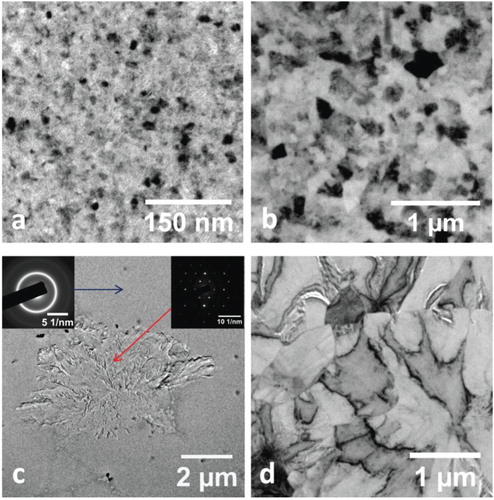 Figure 6. (a–b) TEM images from in-situ annealing of a 100 nm thick TiAl film with a single 1 nm Ti seed layer. (a) shows the film after heating at 550°C for 1 h, whereas (b) corresponds to the film after heating at 650°C for a further 30 min. (c–d) TEM images from in-situ annealing of an unseeded 100 nm thick TiAl film. (c) corresponds to 600°C annealing for 1 h and shows the nucleation of a large crystalline phase (red arrow), as revealed by the SAD pattern. The rest of the film (blue arrow) was still amorphous. (d) corresponds to further annealing at 650°C for 30 min and shows the formation of µm-sized grains.