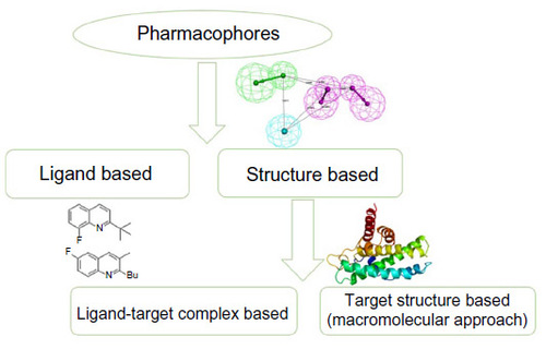 Figure 2 Classification of pharmacophore development methods.