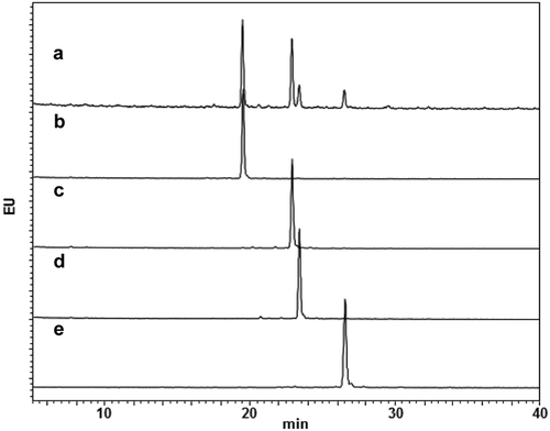 Figure 3. Glycan profiles of mAbs with homogeneous glycans. Glycan profiles of commercially available anti-CD20 mAb (a) and glycoengineered G0F mAb (b), G1aF mAb (c), G1bF mAb (d), and G2F mAb (e). The glycan profiles were obtained using HPLC analysis of 2-AB-labeled glycans.