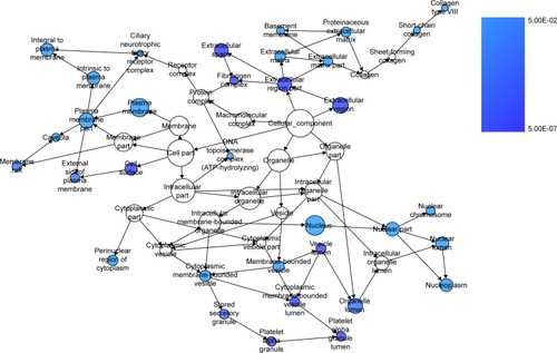 Figure 9 The BINGO analysis network: CC.