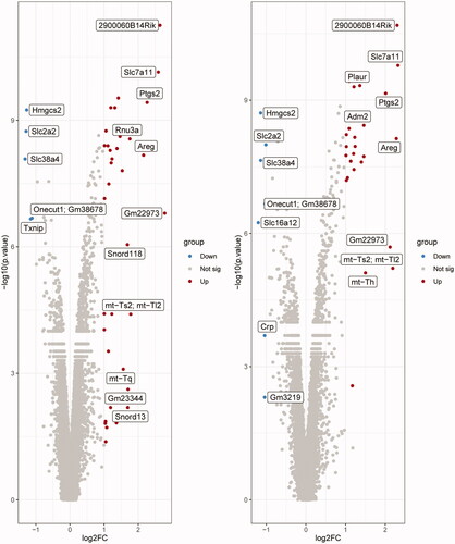 Figure 1. Volcano plots of differentially expressed genes (DEGs). (A) DQ vs. CON and (B) PQ vs. CON. Gray, non-differentially expressed genes; red, significantly upregulated genes; blue, significantly downregulated genes (based on a fold change ≤ -2 or ≥ 2 and a p. value ≤ 0.05). FC, fold change.