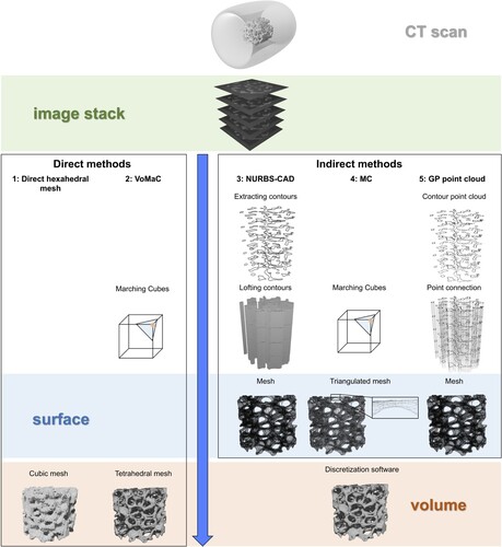 Figure 1. Possible techniques to create volume meshes from CT data. Performing a CT scan generates an image stack with grey values. The approaches presented in literature are divided into direct and indirect methods. While approaches from the first method directly create volume meshes out of CT data, the indirect methods process the CT data to create a surface mesh and additional software has to be used for creating the volume meshes. Detailed descriptions: The first approach generates cubes out of the voxels, while the second approach (Volumetric Marching Cubes, VoMaC) uses the Marching Cubes (MC) algorithm as a basis. The third approach utilizes Non-Uniform Rational B-Splines (NURBS) to represent the contours, the fourth approach is the classical MC algorithm, and the fifth approach works with a point cloud based on grey prediction (GP) modelling.