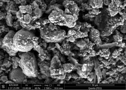Figure 13. ESEM image of iron ore agglomerate before open-air drying.