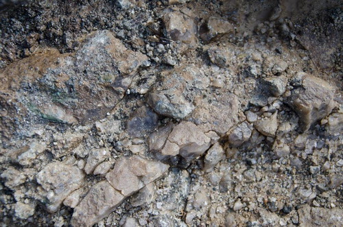 Figure 5. Details of the quartz-bearing fissure. Note the characteristic cross section of the remains of a removed prism (photograph by T. Hess).