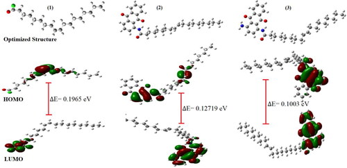 Figure 7. Optimized geometries and frontier orbital distributions of molecules (Inh. 1) to (Inh. 3) at B3LYP/6-31g(d).