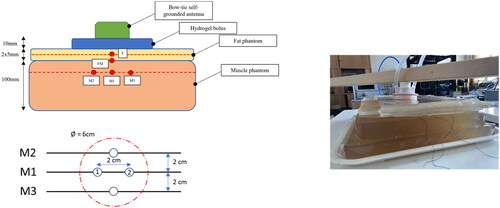 Figure 3. Top left: schematic representation of the experimental setup. The probes position and the geometrical dimensions are indicated. Bottom left: position of the temperature sensors for the probes M1-3, located at 1 cm below the muscle surface, with respect to the antenna aperture (red dotted line). On the right: picture of the same setup.