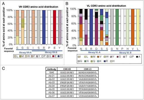 Figure 2 CDR3 sequences of optimized anti-IL-21R antibodies. The frequencies of different amino acids at each position of heavy chain CDR3 (A) or light chain CDR3 (B) in the 25 selected sequences with the highest potency are indicated by the height of the colored sections of each bar. The sequence of the 18A5 at the equivalent position is indicated below the graph. Blue lines show the sequences randomized in libraries VH-A, VH-B, VL-A and VL-B. CDR3 sequences of the clones chosen for detailed analysis are shown in (C).