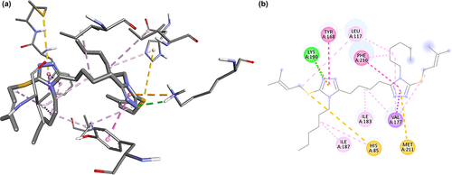 Figure 2 Ligand interaction diagram of compound 2 in the active site of 4LHM in 3D (a) and 2D (b) visualization.