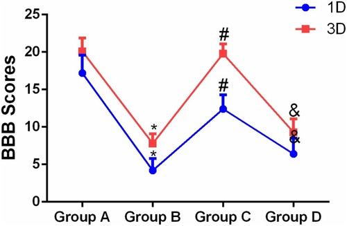 Figure 3 Comparisons of hind leg motor functions in four groups of rats on days 1 and 3 after SCIR (n=8).