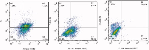 Figure 8. Flow cytometric analysis of MCF-7 cells treated with different concentrations of AgClNPs after 24 h of incubation. (Right) untreated cells, (Middle) cells treated with a medium dose (44 μg/mL), and (Left) cells treated with a high dose (150 μg/mL).