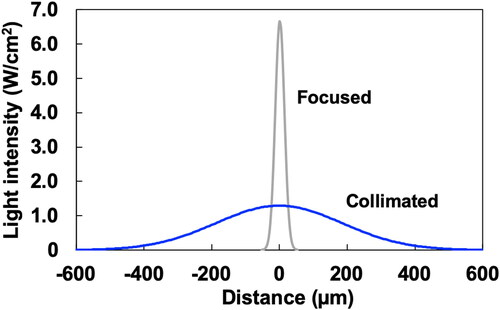 Figure 9. Beam profiles of collimated and focused beams. Blue and gray lines are the collimated and focused beams, respectively. Reprinted with permission from Matsumoto et al. [Citation56].