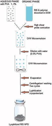 Figure 1. Schematic presentation for the preparation of NPs by the emulsion–solvent evaporation method.