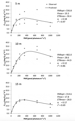 Fig. 8. Rapid light curves (RLCs) obtained in situ by divers with a DIVING-PAM at 5, 10 and 15 m during the July survey. The abscissa represents incident PAR irradiance. Also shown are RLC parameters PARopt (µmol photons m−2 s−1), Pmax (mg O2 g(DW)−1 h−1) and α [mg O2 g(DW)−1 h−1/(µmol photons m−2 s−1)]; ERTmax (µmol e- m−2 s−1); and the coefficient of determination (r2).