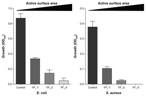 Figure 7 Impact of size of YF3 NPs on antimicrobial activity.Notes: Growth yields of Escherichia coli and Staphylococcus aureus grown in the presence of YF3 NP (0.001 mg/mL) suspension at different sizes (samples 1–3) for 24 hours at 37°C. Untreated bacteria served as a control. Error bars represent the standard deviation of three independent experiments. The results were found to be statistically significant (P < 0.05) between control versus NP-treated cells in all treatments.Abbreviations: NP, nanoparticle; OD595, optical density at 595 nm; YF3, yttrium fluoride.