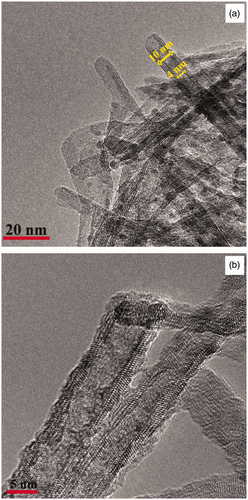 Figure 4. TEM images titanium nanotubes obtained through the hydrothermal treatment of a PLD film in a 10 M NaOH –TiO2 solution for (a) 24 hr-P25 (sample C5) and (b) 24 hr-P25 (sample C5 after annealing at 300°C).