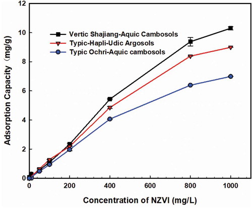 Figure 1. Adsorption isotherms of NZVI onto different soils.