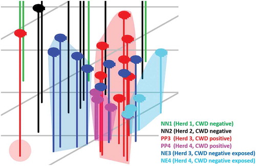 Figure 2. Enlarged view of the area in the PCA scatterplot area containing Herd 3 and 4 CWD-positive and -negative exposed animals. CWD-positive animals from Herd 3 (PP3, red dots) form a distinct cluster containing three negative exposed animals (NE3) from that herd. Remaining NE3 animals form a distinct cluster with the exception of one individual found adjacent to the PP3 cluster. Herd 4 CWD-positive (PP4; pink dots) and -negative exposed (NE4; aqua dots) animals form separate clusters. The close approximation of these clusters indicates that there are some distinct similarities between the cohorts, yet differences between the groups do exist. The three NE3 animals located within the PP3 cluster, and the one NE3 individual located near that cluster may represent animals that were incorrectly classified by our analysis, or may be positive animals infected with a prion burden so low that prion was not detected in the post-mortem IHC analysis performed on the submitted tissues.