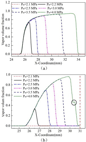 Figure 12. Numerical results: (a) vapor volume fraction on inner surface of valve seat and (b) vapor volume fraction on outer surface of spool head in the throat.