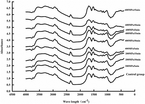 Figure 4. Fourier infrared spectroscopy result of corn gluten meal protein.