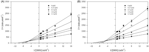 Figure 1. Lineweaver–Burk plots for inhibitory activity of mono and di amides against EcSDH. Lineweaver–Burk plots of EcSDH activity in the presence of (A) 3d and (B) 4b. Substrate DHS concentrations were 0.0625, 0.125, 0.25, 0.5, 1.0 and 1.5 mM, respectively. The data represent the average of three experiments.
